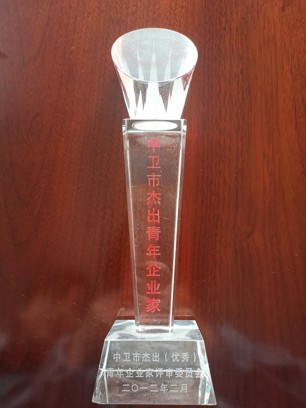 硅铁粒厂家